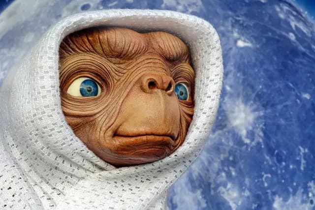 Tables et Chaises à Budget Limité : Le Meilleur Rapport Qualité-Prix